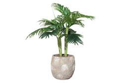 TH070109-A HAWAI PALMIYE AGACI 110cm (759TUF000033) - 2
