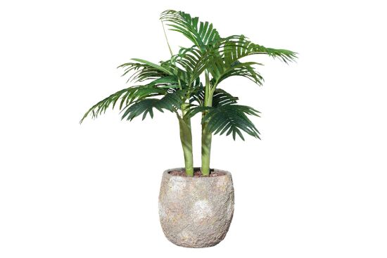 TH070109-A HAWAI PALMIYE AGACI 110cm (759TUF000033) - 2