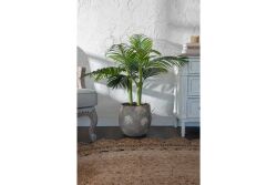 TH070109-A HAWAI PALMIYE AGACI 110cm (759TUF000033) - 4