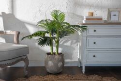 TH070109-A HAWAI PALMIYE AGACI 110cm (759TUF000033) - 3