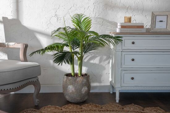 TH070109-A HAWAI PALMIYE AGACI 110cm (759TUF000033) - 3