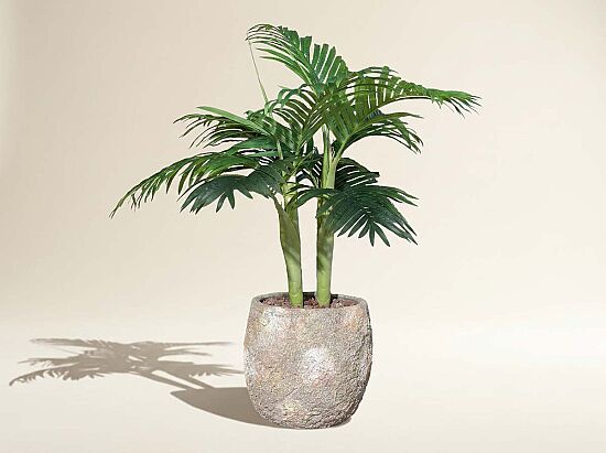 TH070109-A HAWAI PALMIYE AGACI 110cm (759TUF000033) - 1