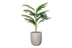 TH070109-A HAWAI PALMIYE AGACI 140cm (759TUF000023) - 2