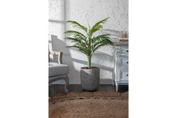 TH070109-A HAWAI PALMIYE AGACI 140cm (759TUF000023) - 4
