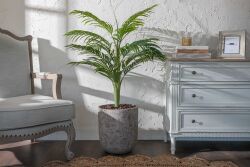 TH070109-A HAWAI PALMIYE AGACI 140cm (759TUF000023) - 3