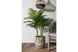 TH070109-A HAWAI PALMIYE AGACI 150cm(759TUF000078) - 4