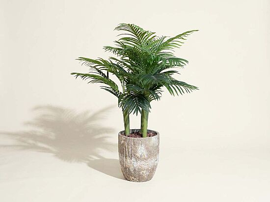 TH070109-A HAWAI PALMIYE AGACI 150cm(759TUF000078) - 1