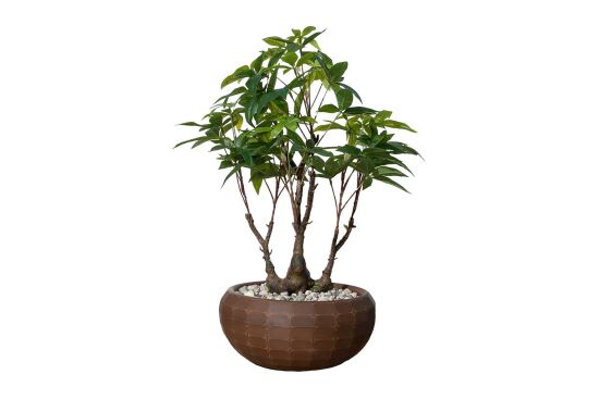 TH070135-A YAPAY MINI PARA AGACI 30X65cm - 2