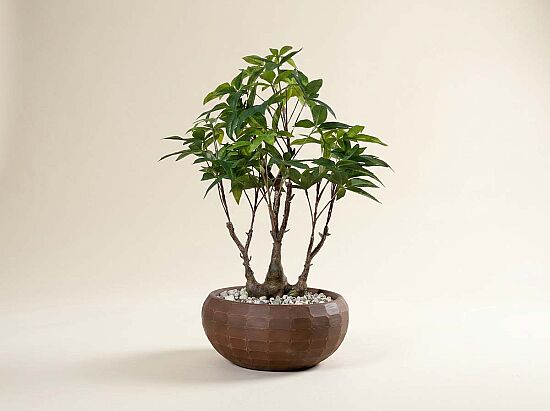 TH070135-A YAPAY MINI PARA AGACI 30X65cm - 1
