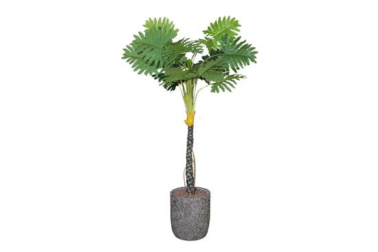 TH070146 FİLODENDRON YAPAY AĞAÇ 255CM(759TUF000064) - 2