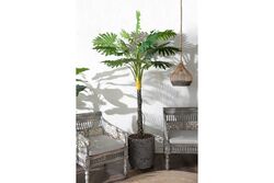 TH070146 FİLODENDRON YAPAY AĞAÇ 255CM(759TUF000064) - 3