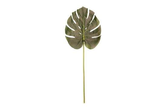 TH070197 DEVE TABANI YAPRAGI 90cm - 2