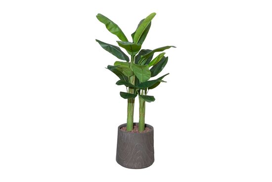 TH070317-A MUZ YAPAY AGACI 170cm(759TUF000094) - 2
