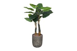 TH070346-A WILD TARO YAPAY AGAC 190cm(759TUF000104) - 2