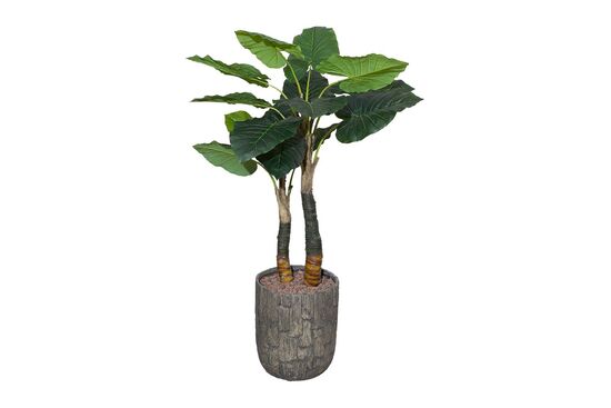 TH070346-A WILD TARO YAPAY AGAC 190cm(759TUF000104) - 2