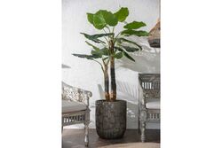 TH070346-A WILD TARO YAPAY AGAC 190cm(759TUF000104) - 3