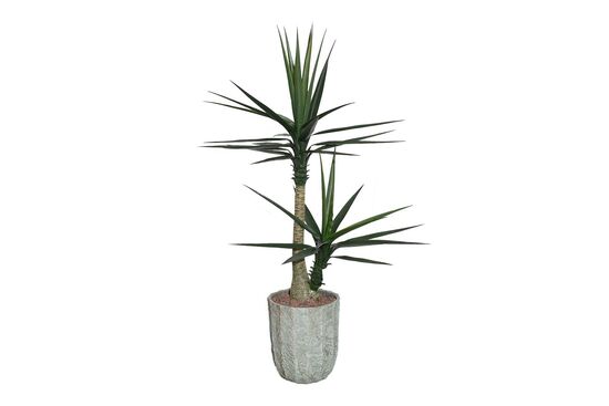 TH070366-A SISAL YAPAY AGAC 155cm(759TUF000053) - 2