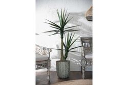 TH070366-A SISAL YAPAY AGAC 155cm(759TUF000053) - 3