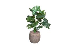 TH085001-A YEŞİL MONSTERA YAPAY AĞAÇ 75CM(759TUF000026) - 2