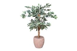 TH218030 3 KÖK FIKUS YAPAY AGAC 110CM(759TUF000068) - 2