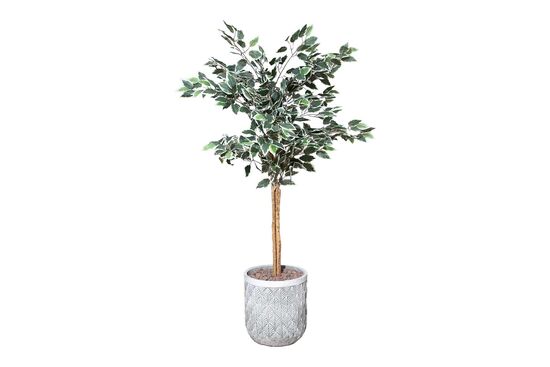 TH218031 3 KÖK FIKUS YAPAY AGAC 145CM(759TUF000038) - 2