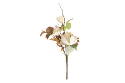 XHJ0915-R10 MANOLYA BUKETI KREM 46cm (24) - 2